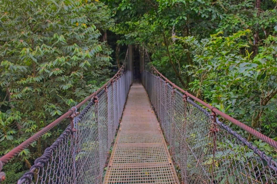 Begin van een hangbrug in het Mistisco Arenal Hanging Bridges Park in Costa Rica